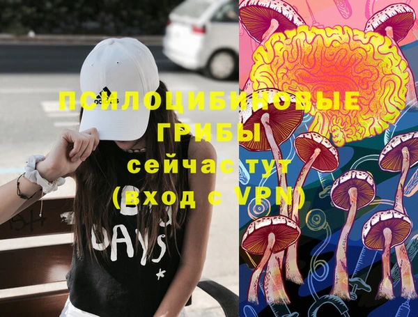 шишки Приозерск