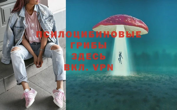 MDMA Premium VHQ Пролетарск