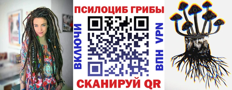Галлюциногенные грибы Cubensis  Вихоревка 